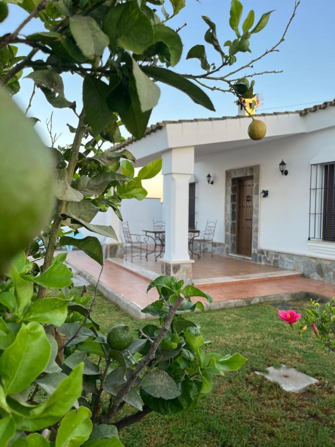 Chalet La Primera Piedra Conil De La Frontera Eksteriør bilde